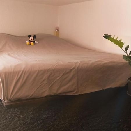 Studio Hyper Centre 索米尔 外观 照片